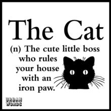Image for Urban Words - The Cat