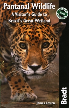 Image for Pantanal wildlife  : a visitor's guide to Brazil's great wetland