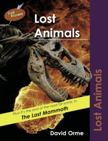 Image for Lost Animals