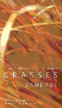 Image for Grasses and Bamboos