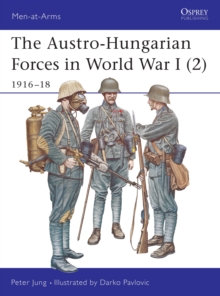 Image for The Austro-Hungarian forces in World War I2: 1916-18