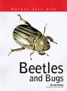 Image for Beetles and Bugs