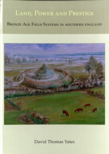 Image for Land, power and prestige  : Bronze Age field systems in Southern England
