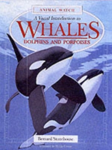 Image for A visual introduction to whales, dolphins and porpoises