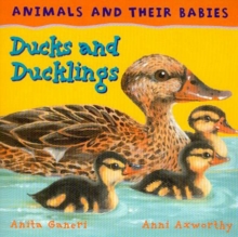Image for Ducks and Ducklings