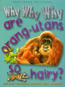 Image for Why Why Why are Orang-utans So Hairy?