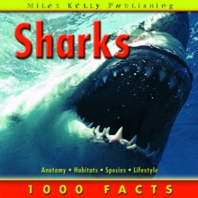 Image for 1000 facts on sharks