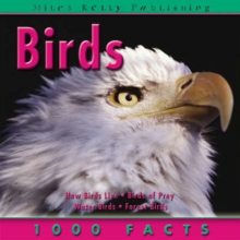 Image for 1000 Facts - Birds