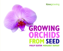 Growing Orchids from Seed