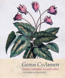 Image for Genus Cyclamen