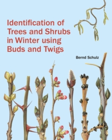 Image for Identification of Trees and Shrubs in Winter Using Buds and Twigs