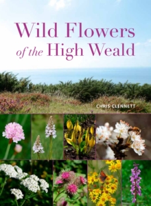 Image for Wild Flowers of the High Weald