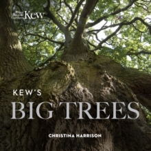 Image for Kew's big trees