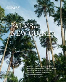 Palms of New Guinea