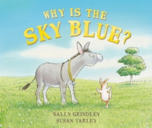 Image for Why Is The Sky Blue?
