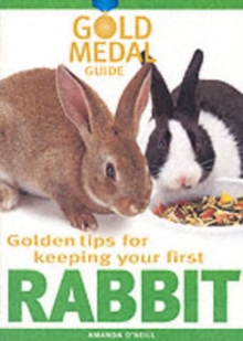Image for Golden tips for keeping your first rabbit