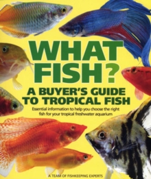 What Fish