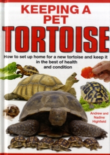 Image for Keeping a Pet Tortoise