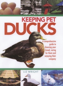 Image for Keeping pet ducks