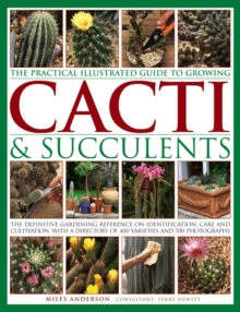 Image for Practical Illustrated Guide to Growing Cacti & Succulents