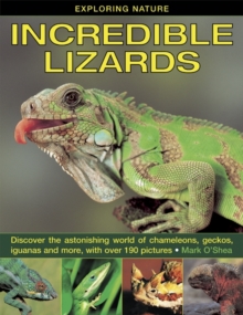 Image for Incredible lizards  : discover the astonishing world of chameleons, geckos, iguanas and more, with over 190 pictures