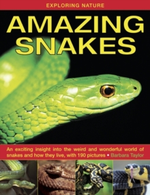 Image for Amazing snakes  : an exciting insight into the weird and wonderful world of snakes and how they live, with 190 pictures