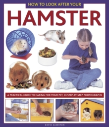 Image for How to look after your hamster  : a practical guide to caring for your pet, in step-by-step photographs