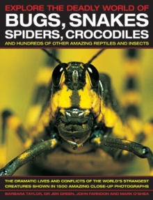 Image for Explore the deadly world of bugs, snakes, spiders, crocodiles and hundreds of other amazing reptiles and insects  : the dramatic lives and conflicts of the world's strangest creatures shown in 1500 a