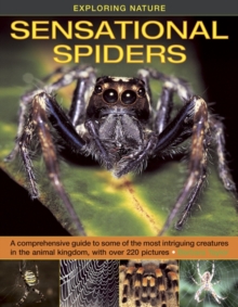 Image for Sensational spiders  : a comprehensive guide to some of the most intriguing creatures in the animal kingdom, with over 220 pictures