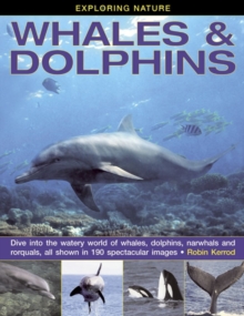 Image for Whales & dolphins  : dive into the watery world of whales, dolphins, narwhals and rorquals, all shown in 190 spectacular images