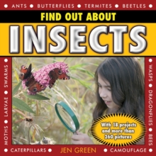 Image for Find out about insects  : with 18 projects and more than 260 pictures