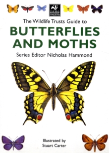 Image for The Wildlife Trust's Guide to Butterflies and Moths