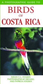 Image for A photographic guide to birds of Costa Rica