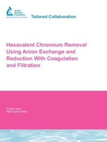 Image for Hexavalent Chromium Removal Using Anion Exchange and Reduction With Coagulation and Filtration