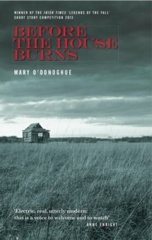 Image for Before the house burns