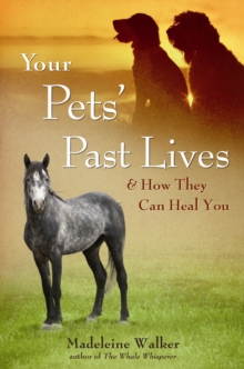 Image for Your pets' past lives & how they can heal you