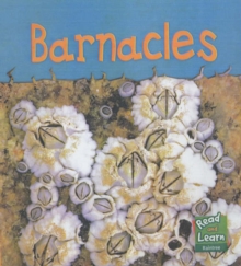 Image for Barnacles