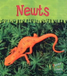 Image for Read and Learn: Ooey-Gooey Animals - Newts