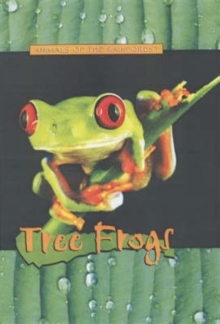 Image for Tree Frogs
