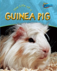 Image for Raintree Perspectives: Life Cycles - the Life of a Guinea Pig