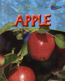 Image for The Life of an Apple