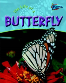 Image for The life of a butterfly
