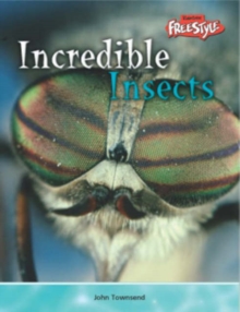 Image for Incredible Creatures: Insects Hardback