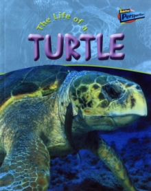 Image for The Life of a Turtle