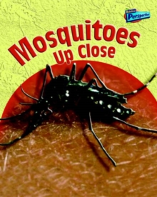 Image for Mosquitoes up close
