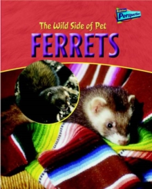 Image for The wild side of pet ferrets