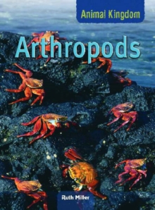 Image for Anthropods