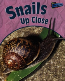 Image for Snails Up Close