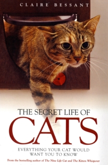 Secret Life of Cats