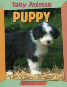Image for BABY ANIMALS PUPPY